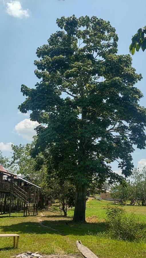 Casa Kukama Lodge 伊基托斯 外观 照片